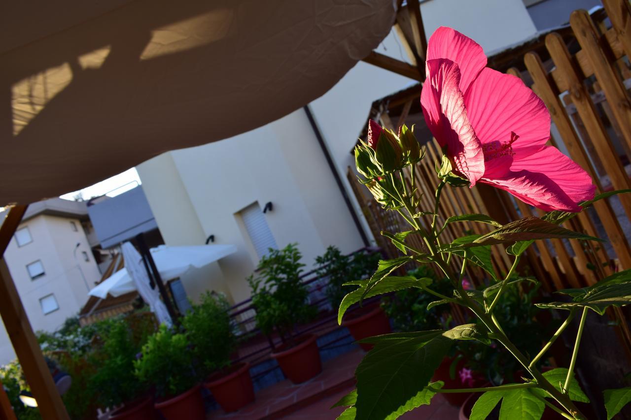 Domus Socolatae Apartments&Suites Follonica Exterior photo